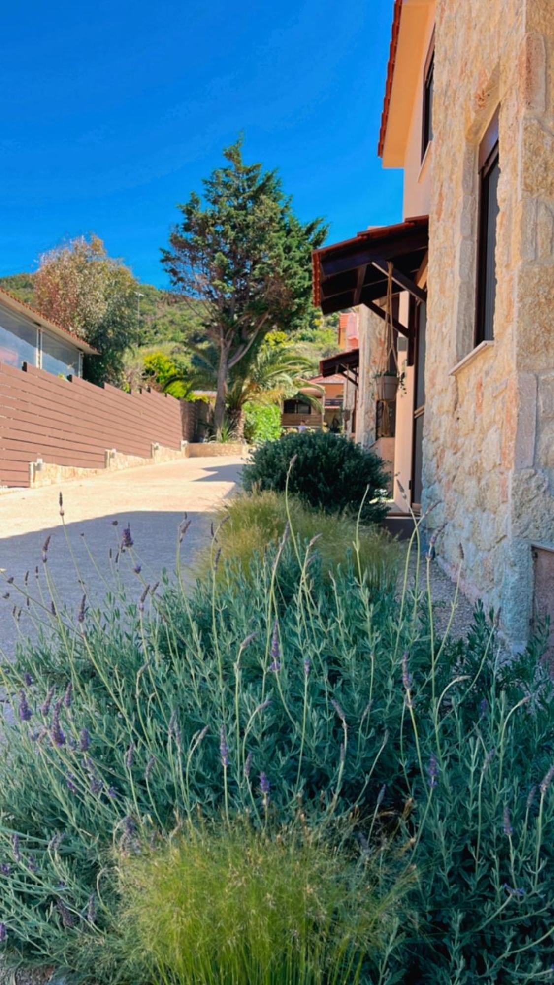 Palma Seaside Villa 1 Sarti Dış mekan fotoğraf